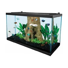 aquarium kit for sale