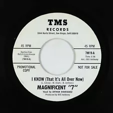 Garage 45 - Magnificent 7 - I Know (That It's All Over Now) - TMS VG++ obscure!