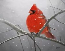 FRASE ORIGINAL BIRD ART PAINTING CARDINAL Realism Snow Wildlife Michigan Artist