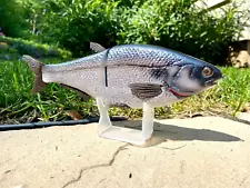 HINKLE SHAD REAL - BRAND NEW Swimbait / Glide Bait