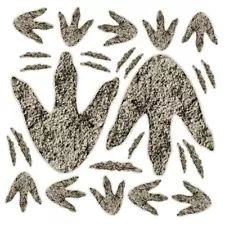 90Pcs Dinosaur Footprints for Floor Dinosaur Decor, Realistic Dinosaur 1