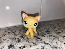 RARE Littlest Pet Shop Light Orange Shorthair Ranch Cat #339 Aqua Eyes (RETIRED)