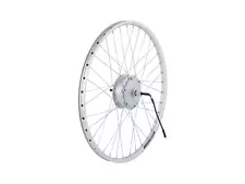 Electra Townie Go! 7D 26" Wheel Rear Silver