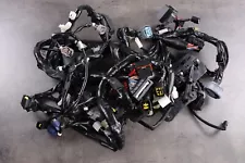 Yamaha R1 M RN49 Harness Loom Harness Wiring 2018 2019 BX4