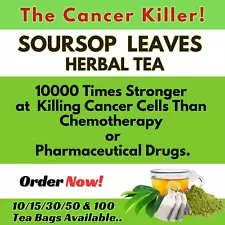 Organic Soursop Leaves Herbal Tea Bags Annona Muricata Guanabana Graviola Powder