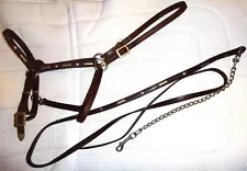 Vintage Western Show Quality Halter & Lead - SILVER ENGRAVED ACCENTS -BEAUTIFUL