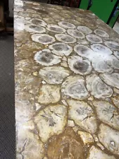 petrified wood table, Countertop, Stone Slab For Countertops, Kitchen Table Tops