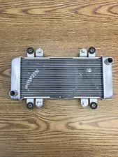 KAWASAKI NINJA 300 EX300 2013-2017, RADIATOR PART # 39060-0710 (For: 2016 Kawasaki Ninja 300)