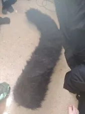Giant Floor Dragger Black Cat Tail Fursuit Tail