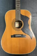 EKO GUITARS RANGER VI - ITALIAN MADE (PD7007587)