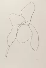 Ellsworth Kelly: Cyclamen II 22x30 Archival Quality Fine Art Print