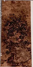 Walnut Burl Wood Veneer, 8.5” W x 18” L Raw , No Backing 1/42 Thickness