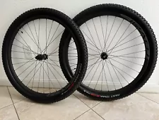 Roval Control 29er Wheelset with Sworks Fast Track Tires Mountain Bike