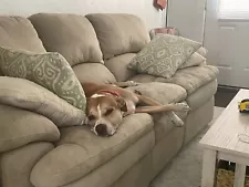 Beautiful and comfy tan suede couch, both sides recline. Excellent condition