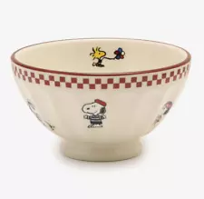 Peanuts in Paris Snoopy Cafe Au Lait Bowl M 480ml Porcelain Japan New