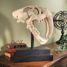 SABER TOOTH TIGER SKULL ON MUSEUM MOUNT NR