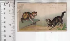 Peckham's Portable Agricultural Furnace Cats Victorian Trade Card 3"x4" VTC-XM31