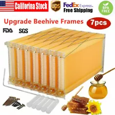 7 Auto Shed Honey Beekeeping Frames Beehive Frames for Brood Bee Hive House