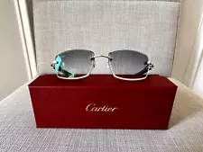 Cartier Buffalo Horn Glasses CT00490 Silver/Black