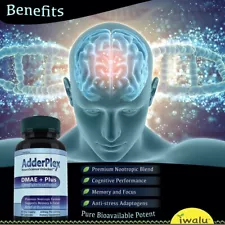 Phosphatidylcholine - Best Brain Supplement for Memory & Focus - Caffeine Free