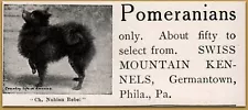 1905 Pomeranian Dogs For Sale Swiss Mountain Kennels Germantown PA Nubian Ad