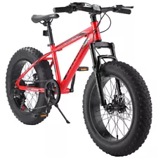 Fat Tire Mountain Bike,20''Wheels 7Speed Drivetrain Bicycle Shimano Trail Bike