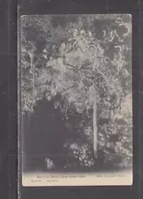 NEW SOUTH WALES, JENOLAN CAVES, ORIENT CAVE, LYRE BIRDS NEST, 1910 ppc., unused.