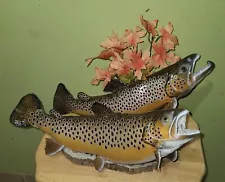 Male & Female Brown Trout Real Skin Pedestal Mount