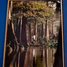 Louisiana Cypress Trees N Water Reflection Limited Edition Signed W CypressFrame