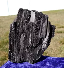 Clear & Smoky QUARTZ Crystals in Petrified Wood fr Henry Mountains UTAH For Sale