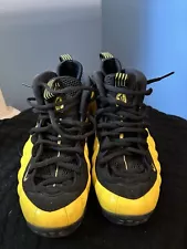 Size 9 - Nike Air Foamposite One Wu Tang