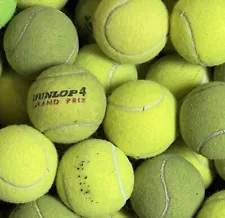 25 Used Tennis Balls for Dogs - FREE SHIPPING!