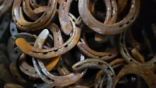 used steel horseshoes Qty 75 Various Styles And Shapes And Sizes Rusty No Nails