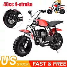 dirt dobber mini bike for sale