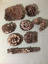 Lot of 8 Natural California Paper Wasp Nests Taxidermy Crafts Decor Classroom D