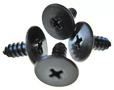 WEATHERSTRIP BOOT WELL RAIL SCREWS CHEVY BUICK PONTIAC OLDS CONVERTIBLE HD TP 10 (For: 1969 Buick Electra 225)