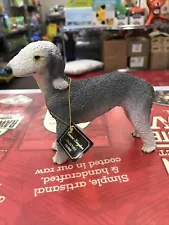 bedlington terrier for sale manchester