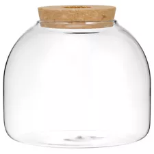 Large Terrarium Jar with Lid Stand Cork Glass Bottle Plant Decoration Suite