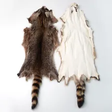 1 Piece Genuine Raccoon Pelts Leather Skin Fur Hides DIY Craft For Hats Clothing