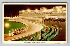 Miami FL-Florida, Dog Race Track, c1961 Vintage Postcard