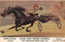 Harness Horse Racing Fair Home Coming Senecaville Ohio 1912 postcard