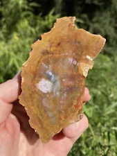 Colorful Amarillo Texas Petrified Wood