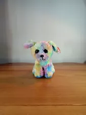 2021 Ty MAX Tie Dye Dog Beanie Boo for Autism Awareness - 6” NEWððð¶ð¶ð¾ð¾ðð