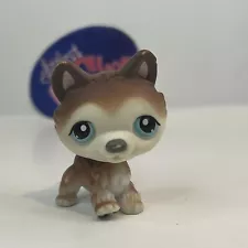 HUSKY DOG #68 - Authentic Littlest Pet Shop - Hasbro LPS