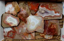 16 Ounces (1 Pound) TeePee Canyon Agate Slabs Black Hills Tumble or Cab