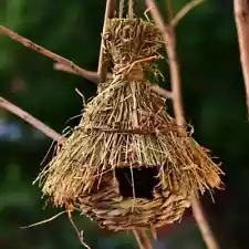 Natural Grass Bird Houses: Outdoor/Garden Hanging Cage Hummingbirds & Finches