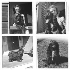 4 Vintage 1940 Photos of Girl with Black Sussex COCKER SPANIEL Dog From Brisbane