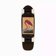 Landyachtz Dinghy 28 Complete Skateboard