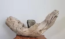 New ListingDriftwood with Embedded Stone ❦ Natural Sculpture ❦ 16.5" Long