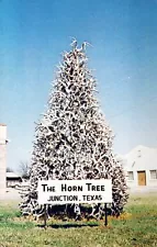 Horn Tree Made of Deer Antlers Main St Junction Texas. The Only Postcard on Ebay